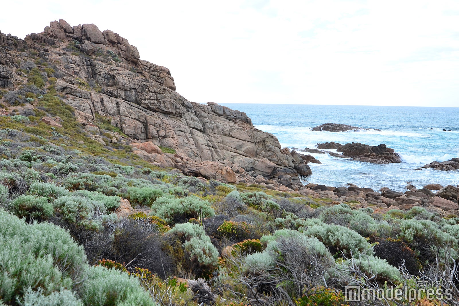 ケープ・トゥ・ケープ・トラック（C）モデルプレス