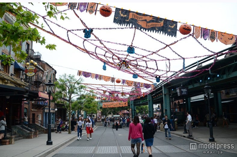 クモの巣をイメージさせる装飾が施される（TDS）