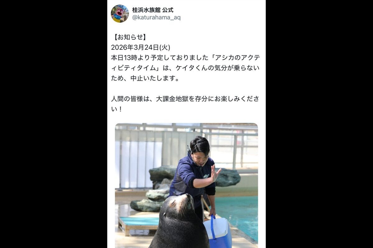 桂浜水族館 公式X