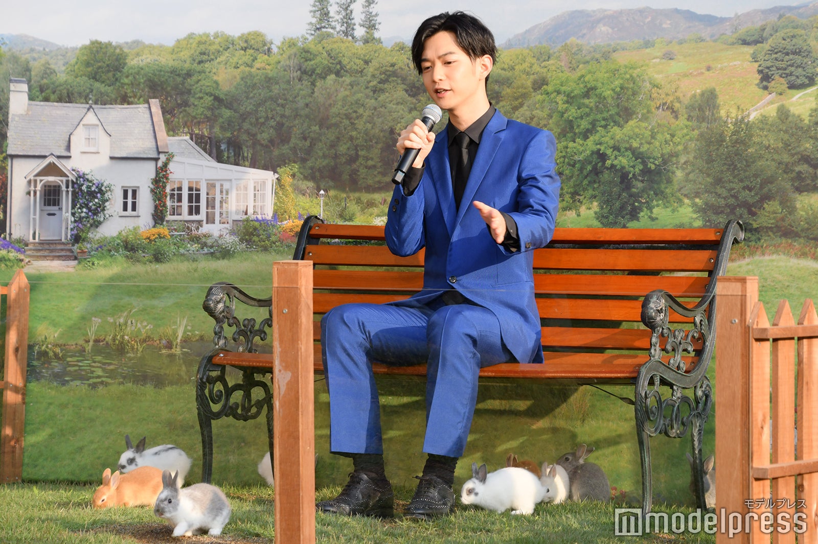 ウサギが気になる （C）モデルプレス