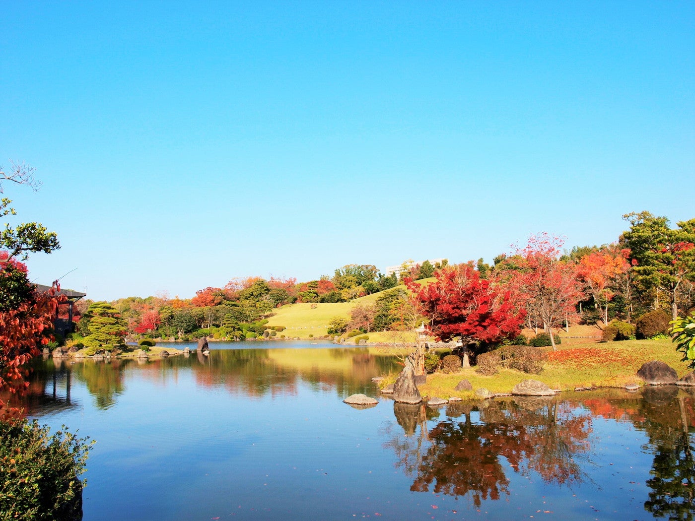 万博記念公園 紅葉まつり／提供画像