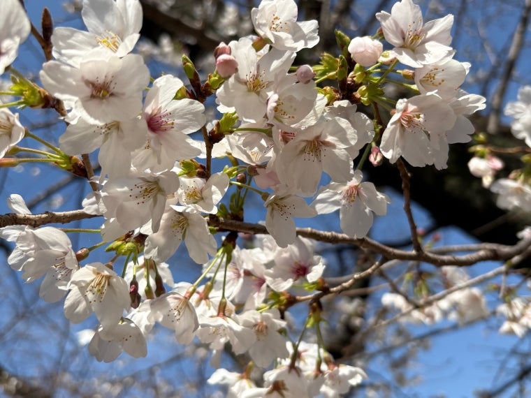 《フレッシャーズの皆さんへ》“売る”から“価値を生む”産業へ