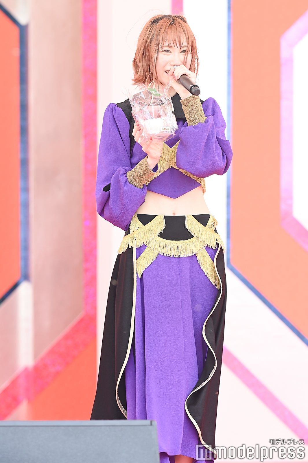 豆柴の大群（C）モデルプレス