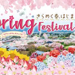 Spring Festival 2026/提供画像
