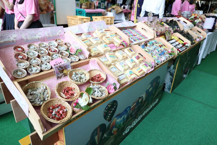 「TGC teen ICHINOSEKI 2024」の様子(提供写真)