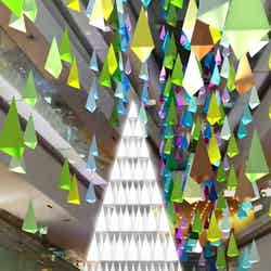 メインツリー/画像提供:表参道ヒルズ