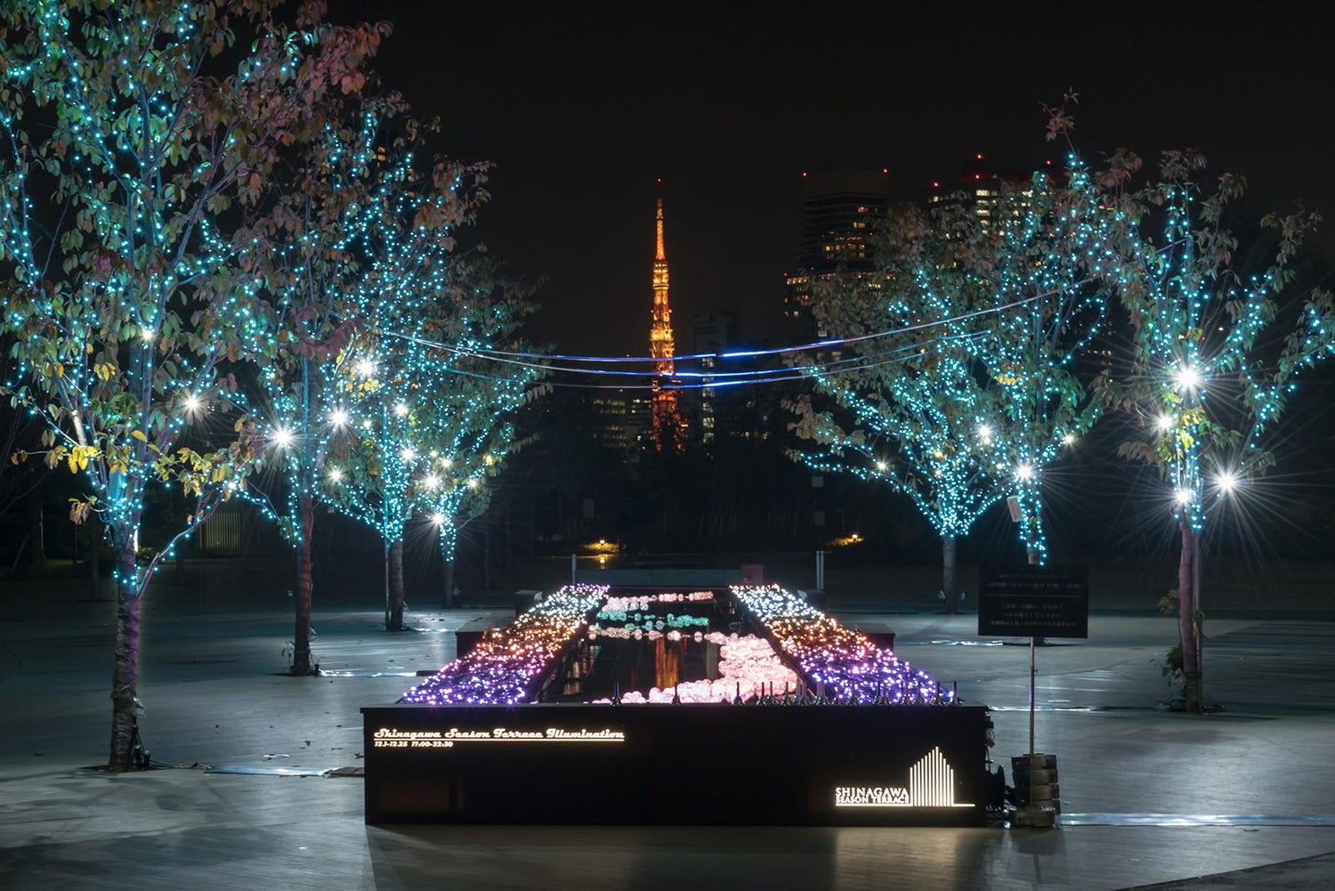 品川の街が青く煌めくイルミ 東京タワー×光の海のSNS映えスポット出現