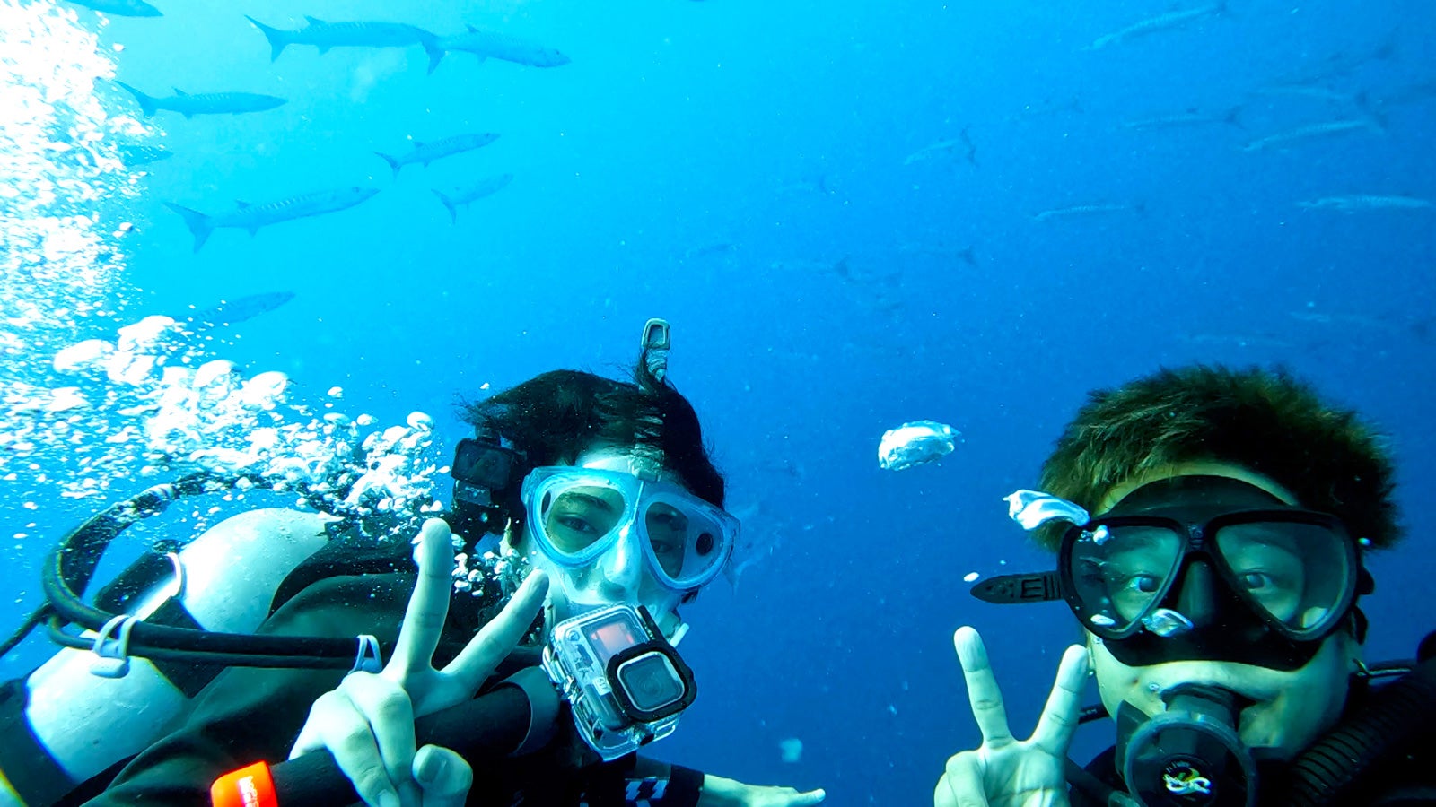 高橋海人、免許取得後初ダイビング　ジャニーズWEST桐山照史が助っ人参戦「さすがKing ＆ Princeや！」