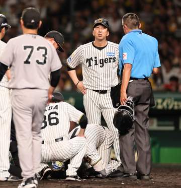 阪神・藤川監督 肩甲骨から手首のプロテクター「どうでしょうか、というのを提案して実際に製作して。守る術を誰かが考えなければ」【一問一答】