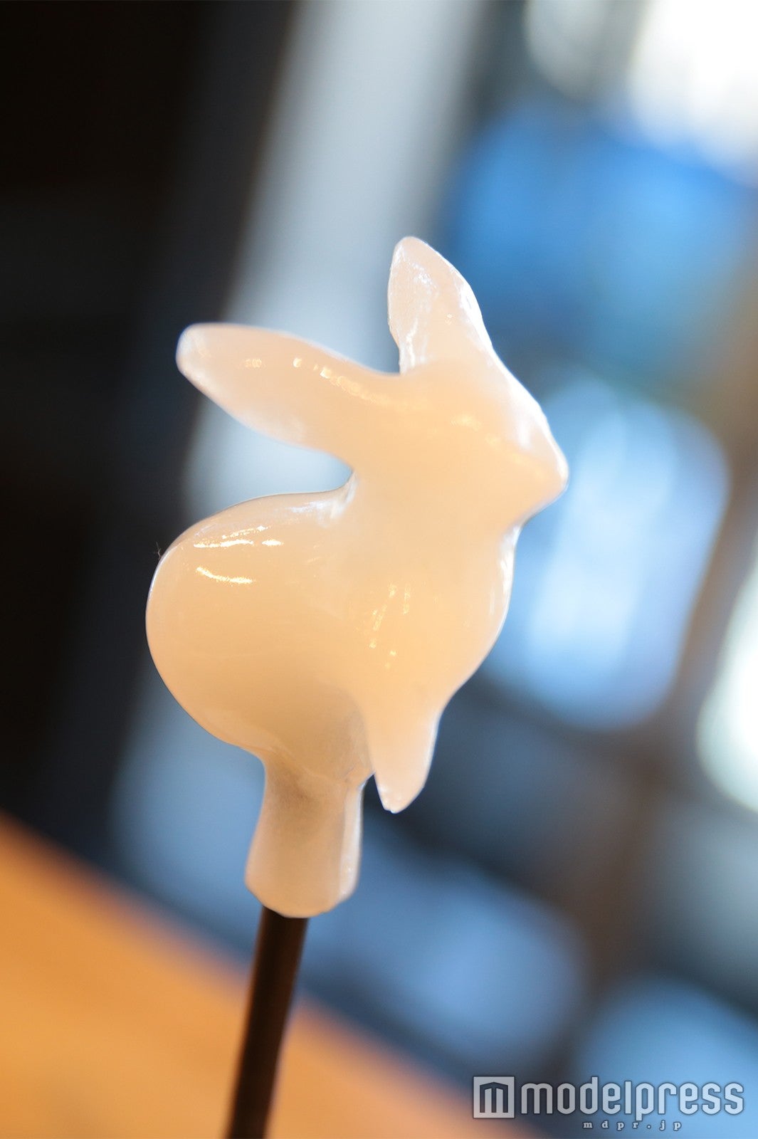 少しずつうさぎに近づけていく（C）モデルプレス