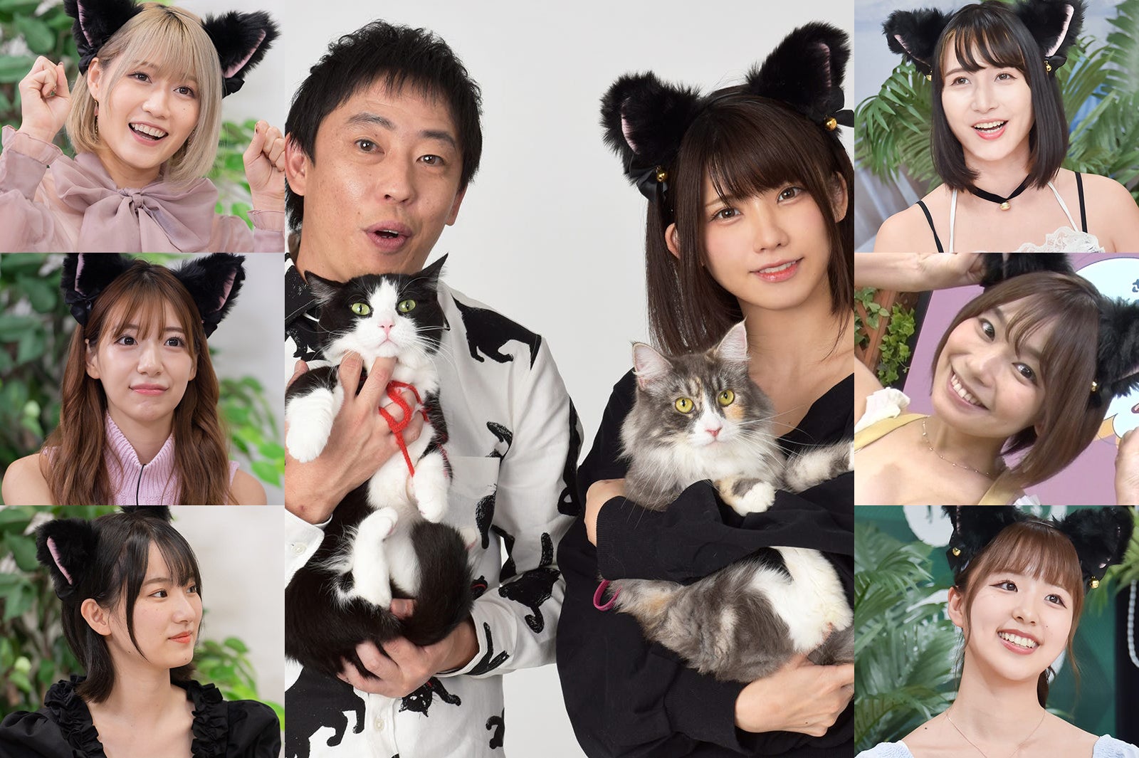 ファンクラブプラットフォーム「ミーグラム」連携の地上波TV番組へ出演のチャンス　えなこxさらば森田MCバラエティ＜猫しか勝たん＞