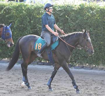 【新馬戦】ダノンダックス 大舞台を目標に 姉は3冠牝馬リバティアイランド 田中博師「運動神経よく、ポテンシャル高い」
