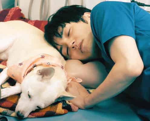 林遣都、絆深め合う貴重映像公開<犬部!>