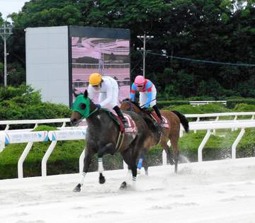 【地方競馬】地元のダンテバローズが六甲盃を制し重賞初V