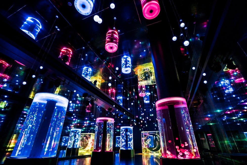 NAKED 花火アクアリウム／画像提供：横浜八景島