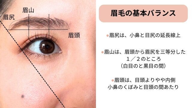 基本の眉のバランス 基本の眉のバランス