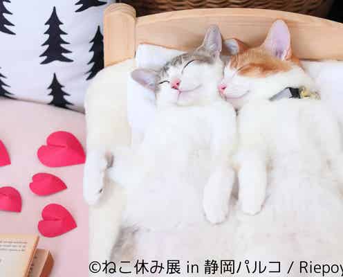 「ねこ休み展」が1年ぶりに静岡に!巨大絵馬や彫刻スター猫など人気企画が目白押し