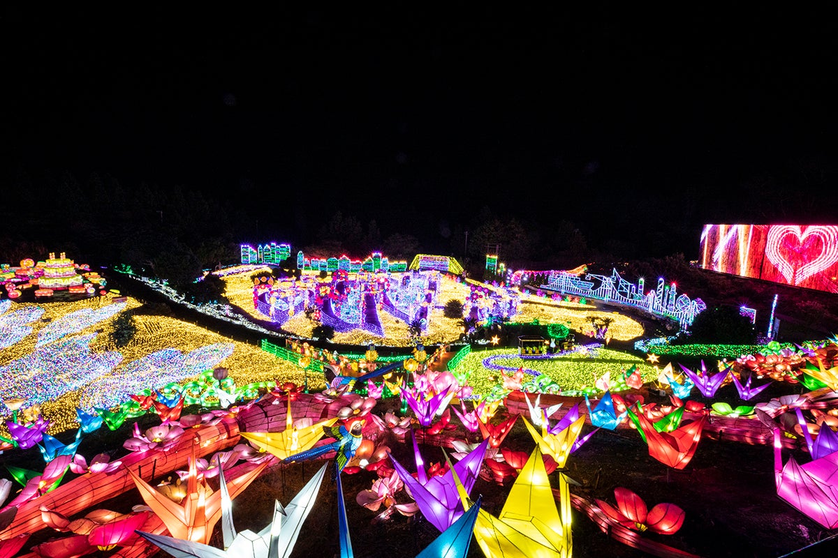 伊豆高原グランイルミ／画像提供：伊豆シャボテン公園