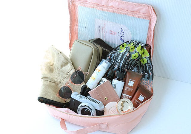 ムック本　ムック　付録　人気　おすすめ　オススメ　宝島社　宝島　レビュー　便利　優秀　当たり　最高　2023　ANA　THE