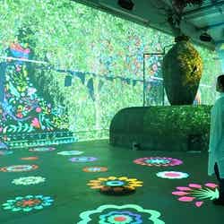 HANA・BIYORI/画像提供:よみうりランド