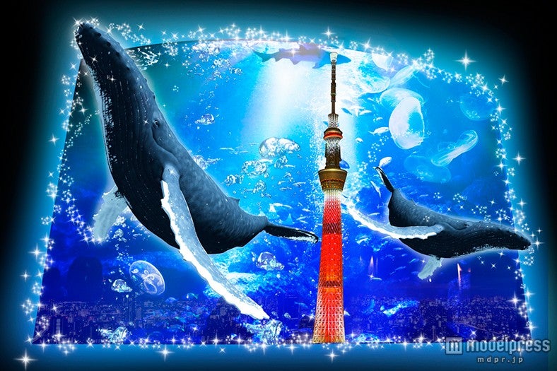 「小笠原から実物大クジラがやってきた！」