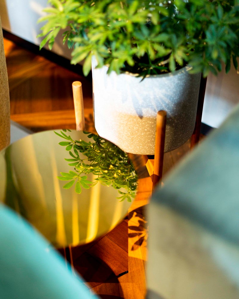 THE KNOT HIROSHIMA／画像提供：いちご