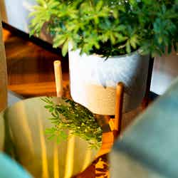 THE KNOT HIROSHIMA/画像提供:いちご