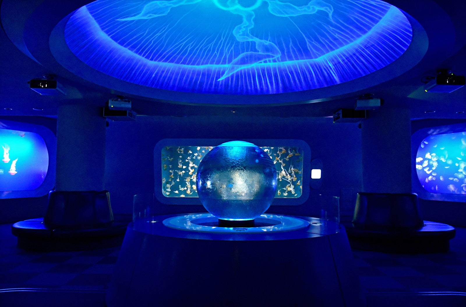 まめっちたちとあわたんのぷかぷかさんぽ（提供画像）