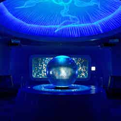 まめっちたちとあわたんのぷかぷかさんぽ(提供画像)