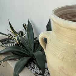 ザ・グランテラス/提供画像