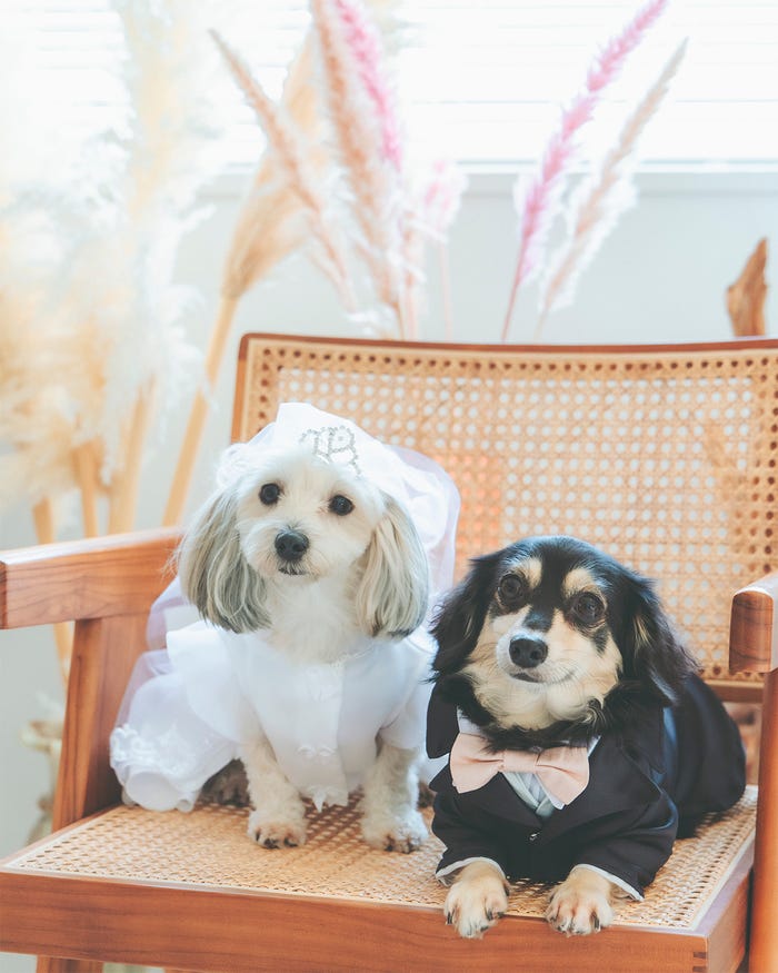 松村沙友理(提供写真)