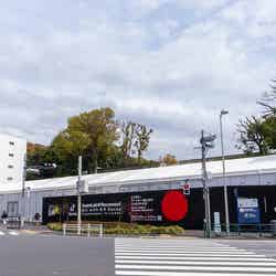 チームラボリコネクト:アートとサウナ 六本木/画像提供:チームラボ