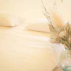 BLUE BEACH NACHI/画像提供:Ginger