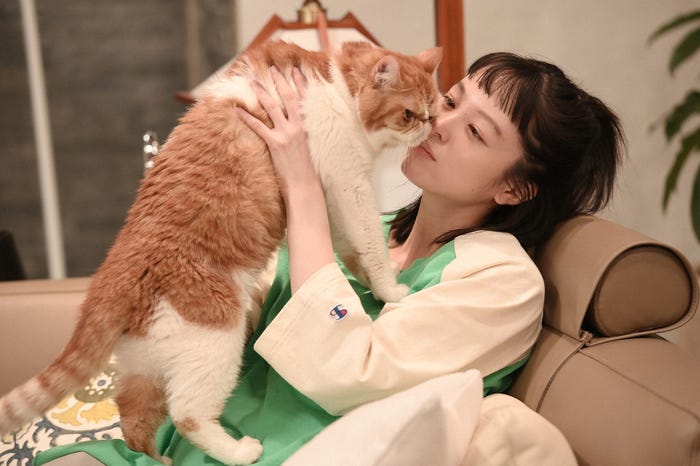 清野菜名/「婚姻届に判を捺しただけですが」第4話より(C)TBS