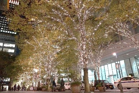 「丸の内イルミネーション」過去開催時の様子／画像提供：丸の内イルミネーション実行委員会 