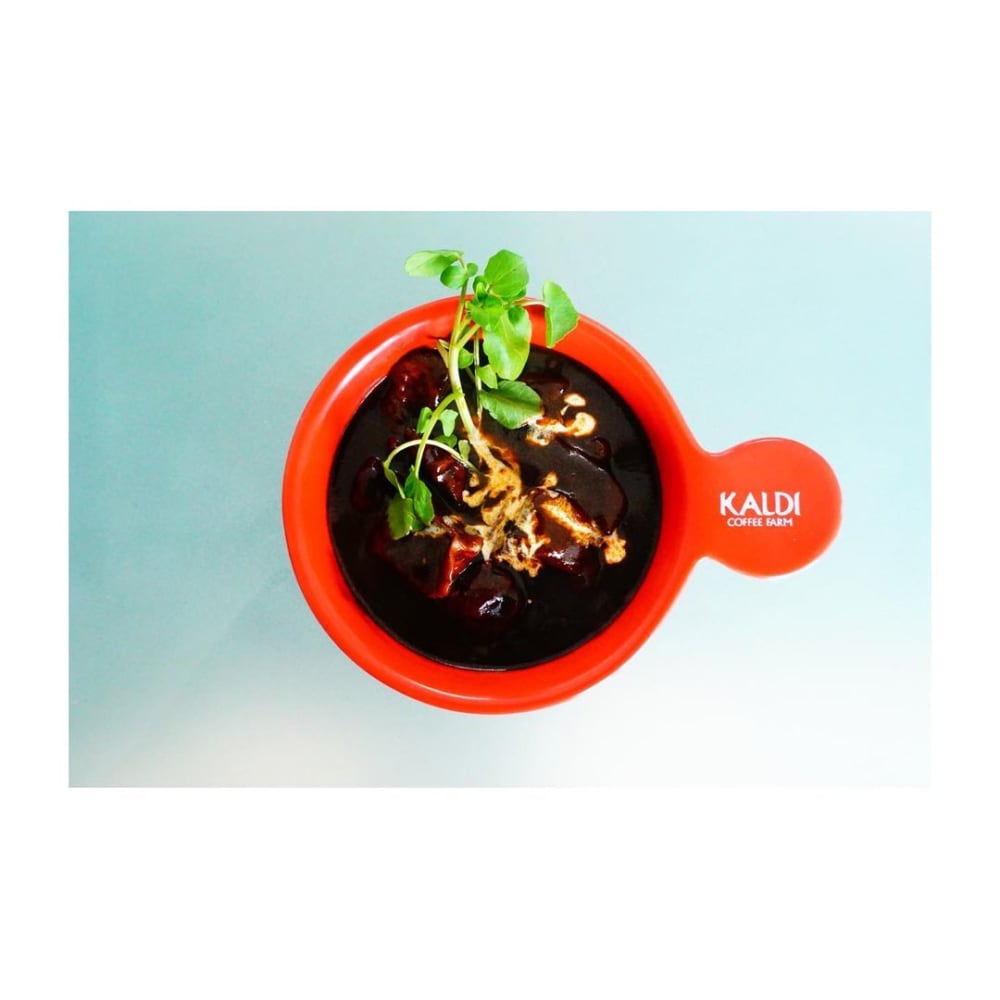 カルディオリジナル洋食屋さんのビーフシチューの素