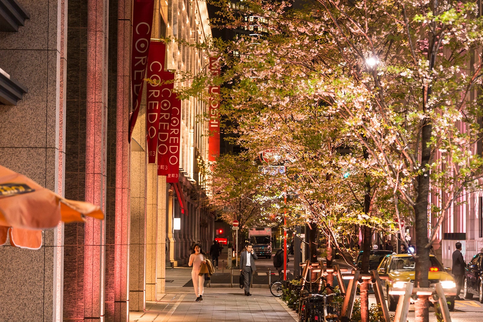 桜ライトアップの様子／画像提供：日本橋桜フェスティバル実行委員会