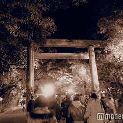 熱田神宮へ初詣…飛躍の年になるよう頑張ります！