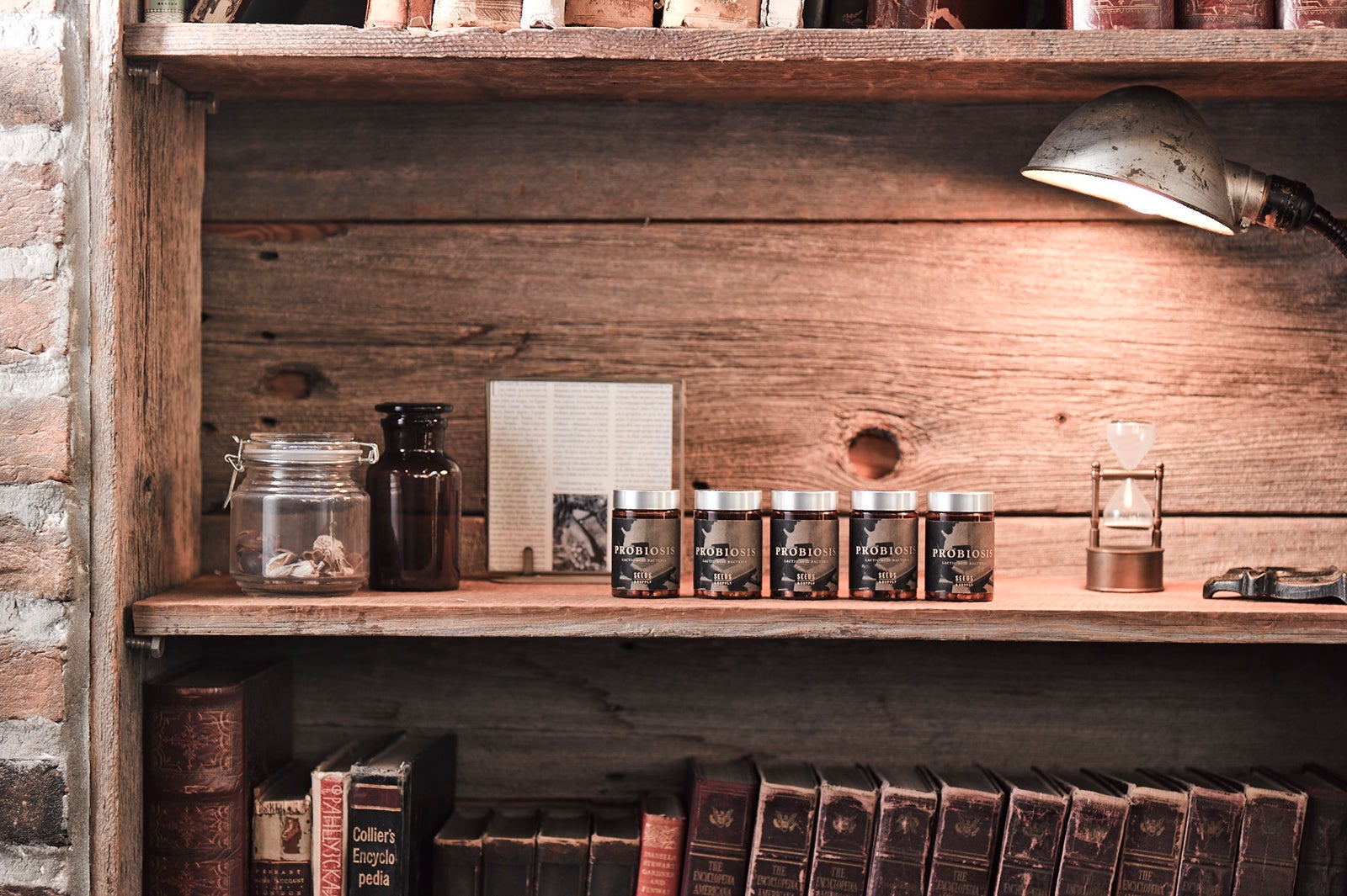 「PROBIOSIS（プロバイオシス）」