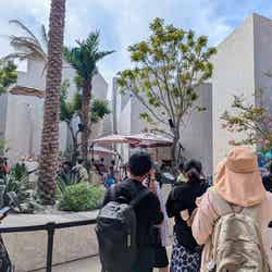 次回の世界博覧会は2030年サウジアラビアにて開催! 大阪・関西万博ではパビリオンもレストランも大人気に