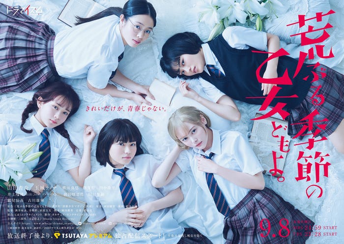 「荒ぶる季節の乙女どもよ。」ポスタービジュアル(C)岡田麿里・絵本奈央、講談社/2020 ドラマ荒乙製作委員会・MBS
