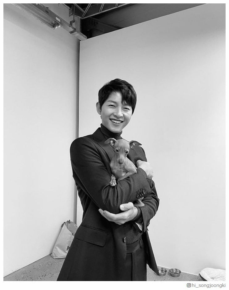 ソン・ジュンギ、新パートナー？人気韓国俳優が愛す“ワンちゃん”たちに熱視線