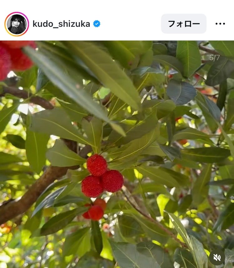工藤静香 Instagramより