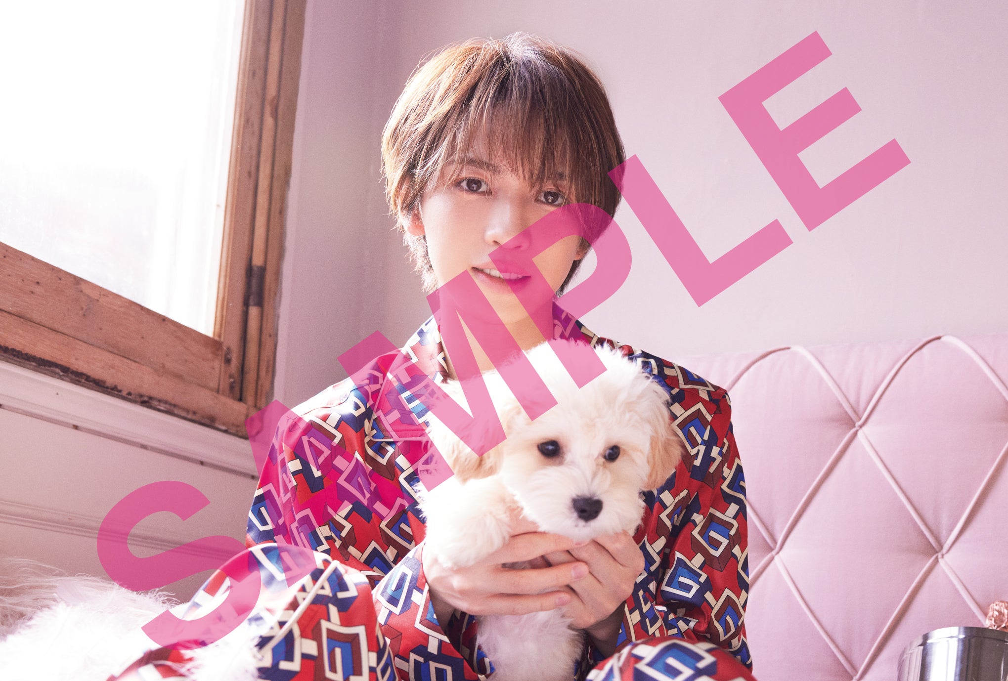 予約特典ポストカード・TSUTAYA （提供写真）