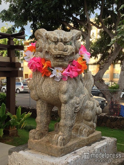 レイをかけたかわいい狛犬がお出迎え／photo by kimubert