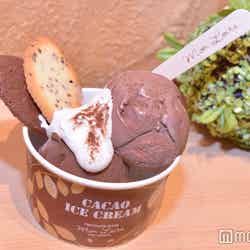 「カカオアイスクリーム」ダブル800円(税別)（C）モデルプレス
