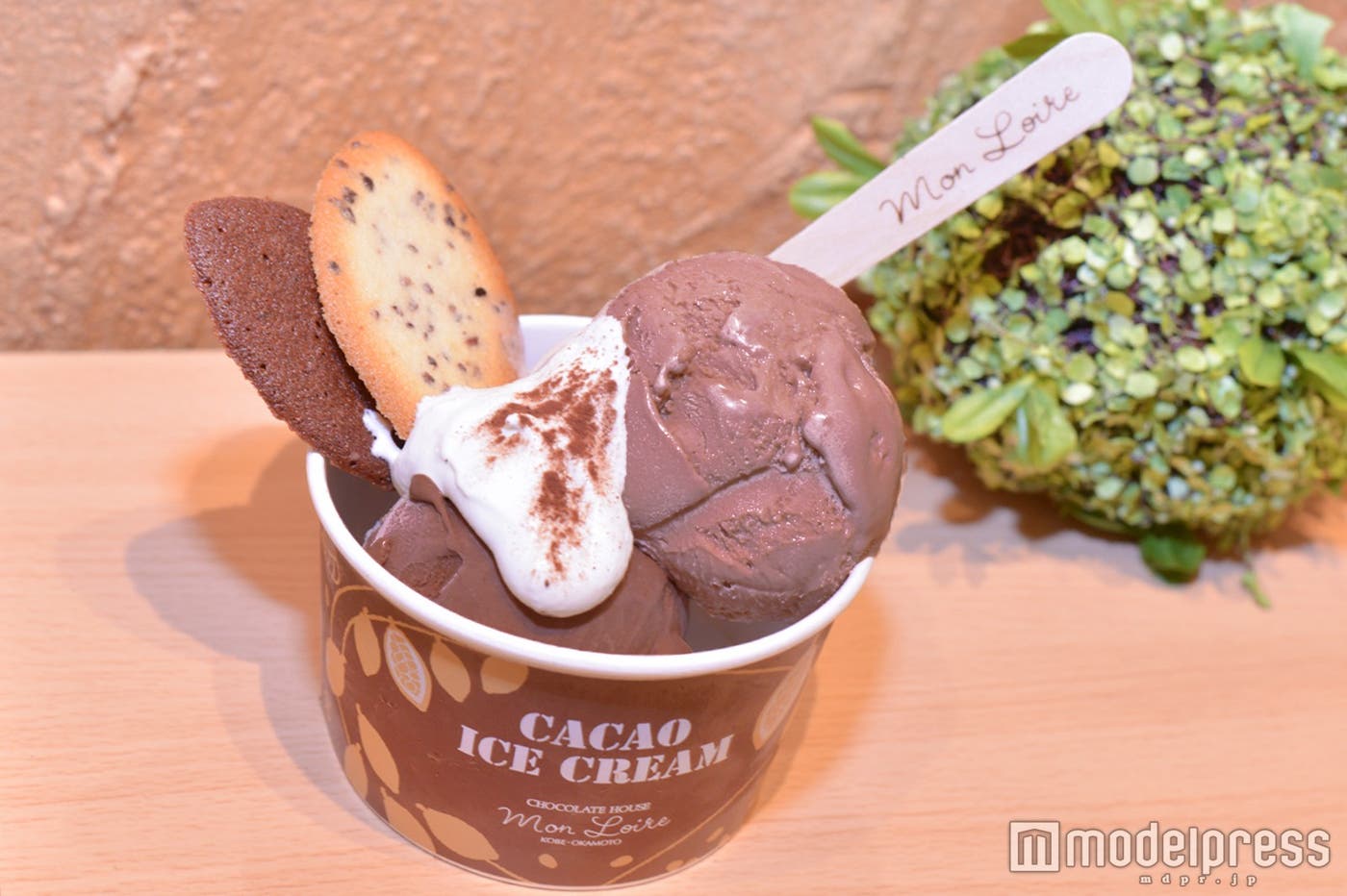 「カカオアイスクリーム」ダブル800円(税別)(C)モデルプレス