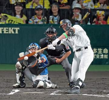 阪神・田中秀太コーチの行動に称賛の声集まる ディベイニー初安打の記念球「人としての優しさを見た」「膨らんでます」