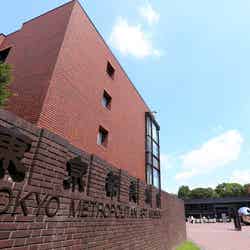 【2026年】ゴッホ、モネ、大英博物館が東京に! 絶対に見逃せない「注目美術展」8選