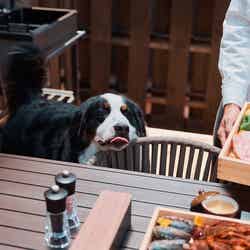 ヴィラ/提供画像